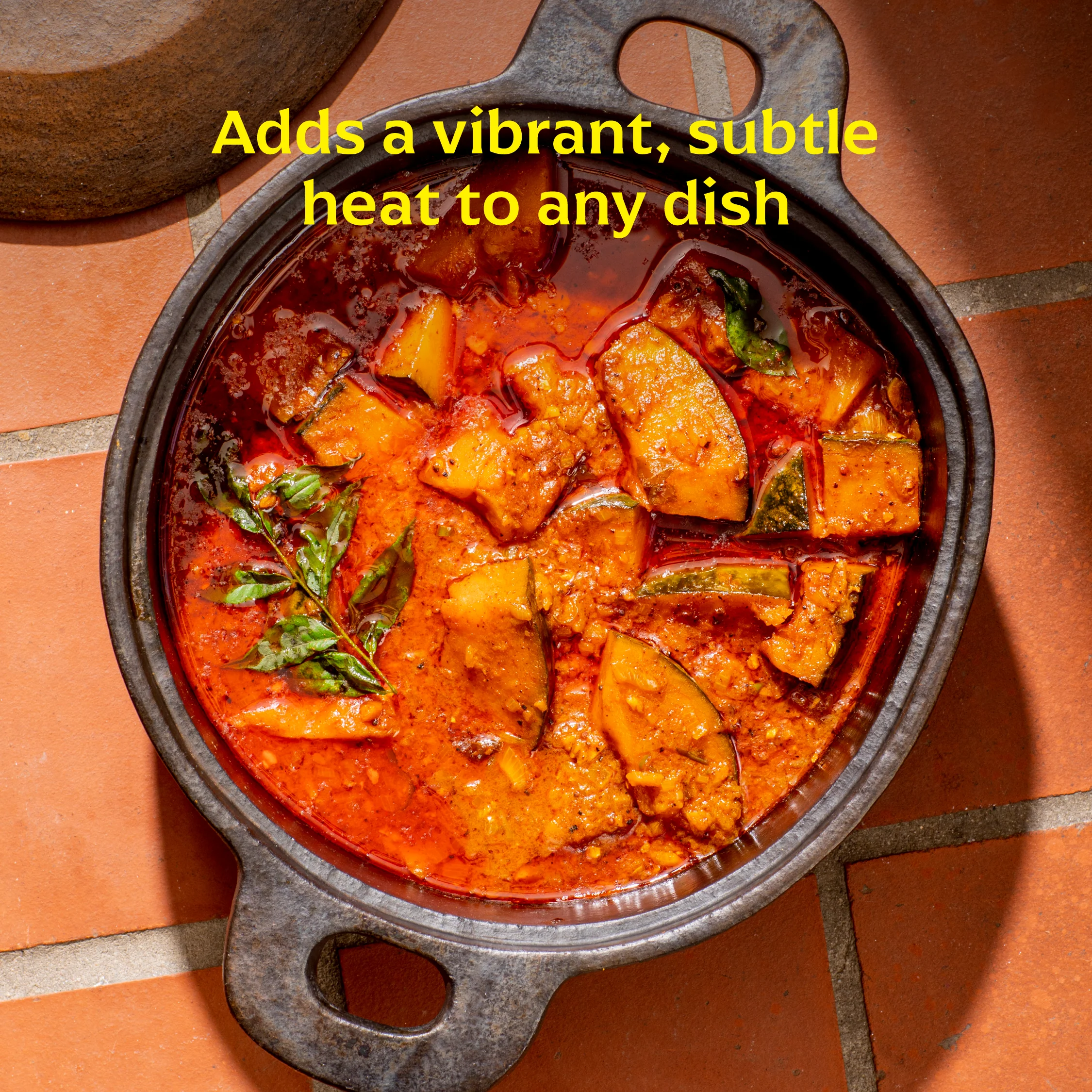 Byadgi Chilli - Image 3