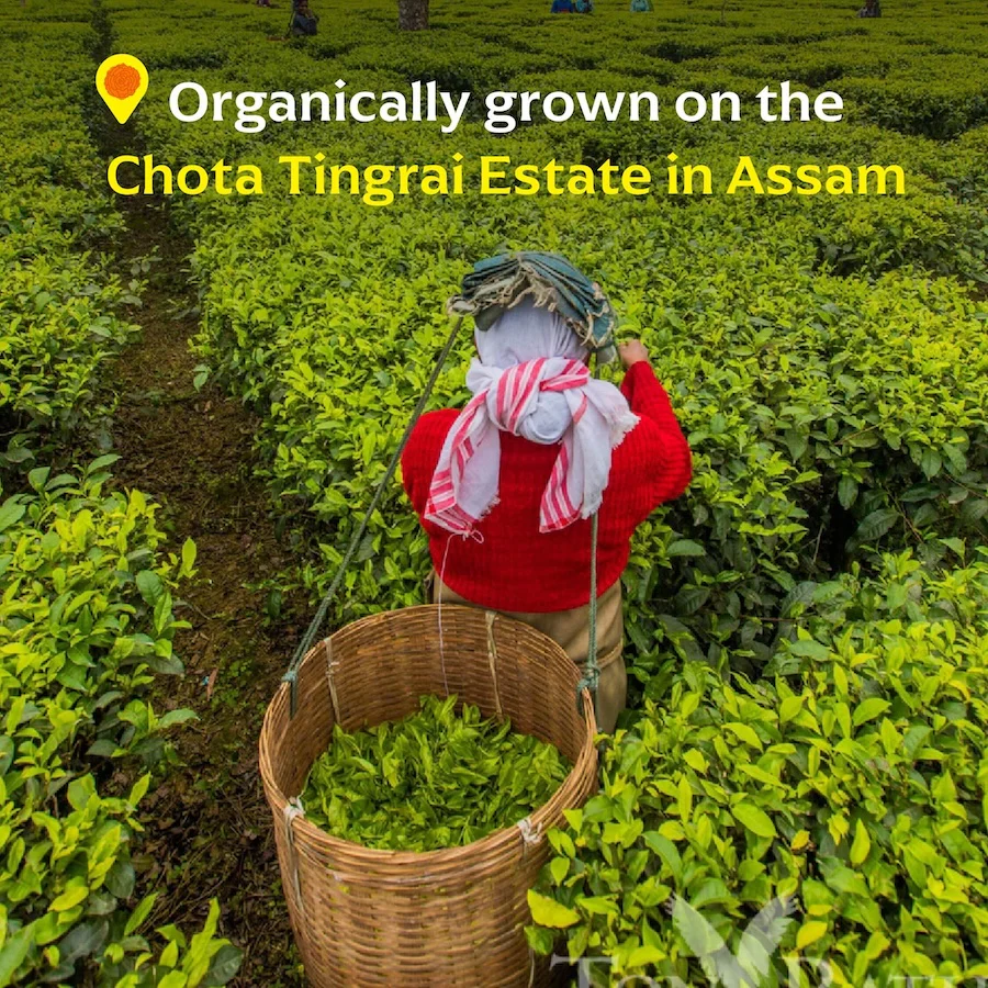 Chota Tingrai Black Tea - Image 2