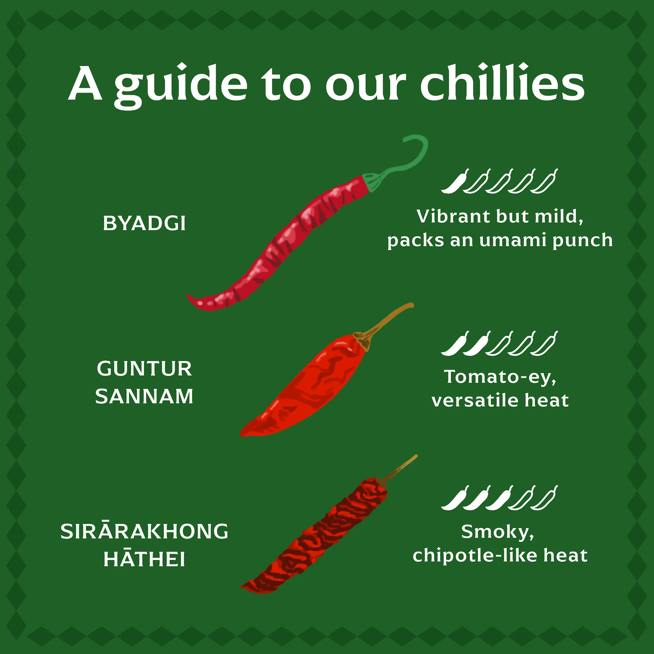 Byadgi Chilli - Image 5
