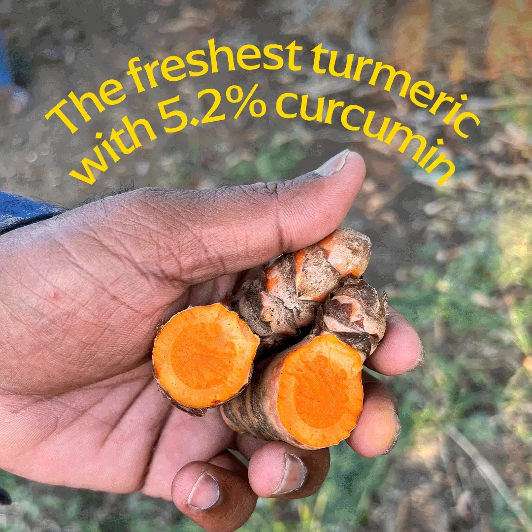 Pragati Turmeric (New Weight, Cookbook) - Image 2