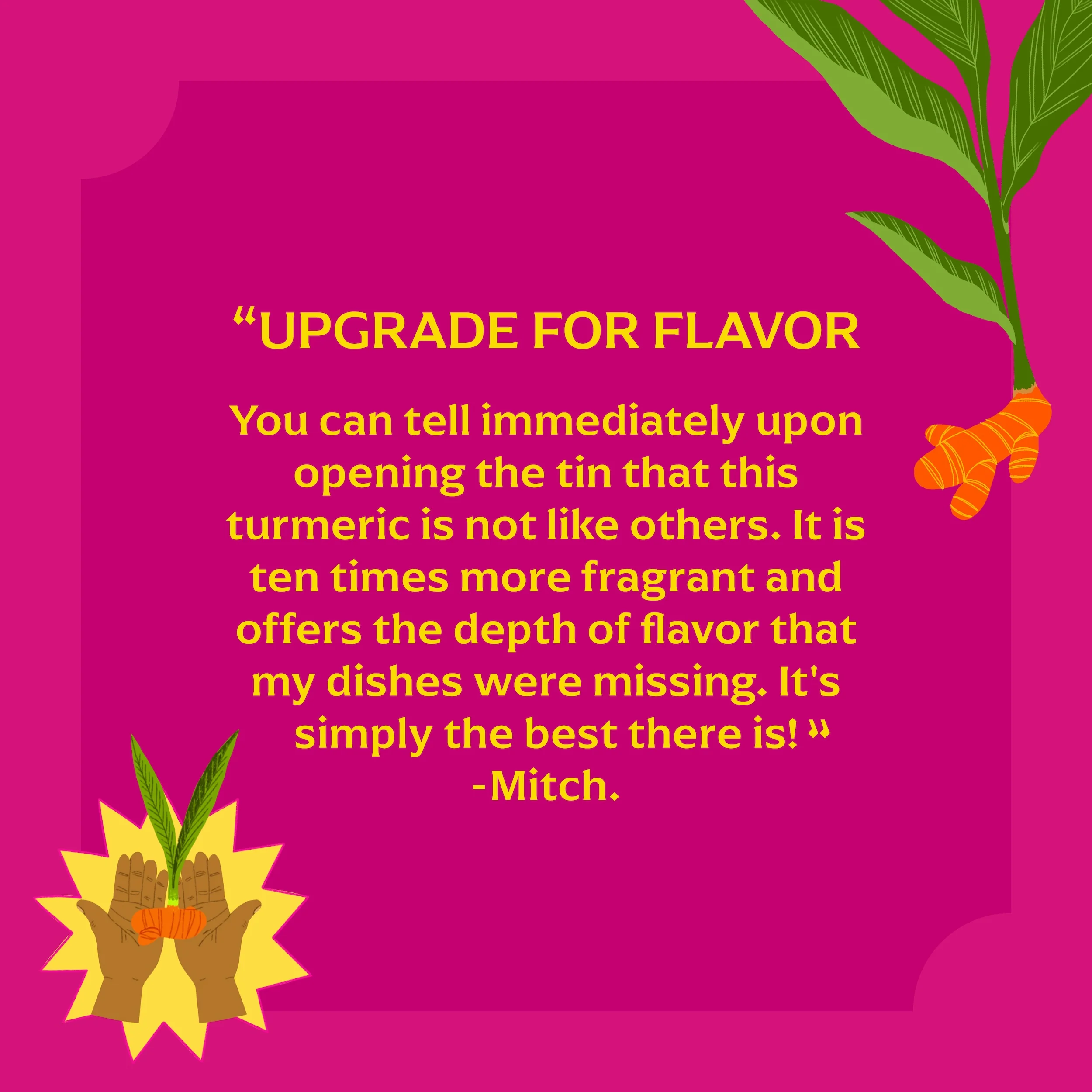 Pragati Turmeric (New Weight, Cookbook) - Image 4
