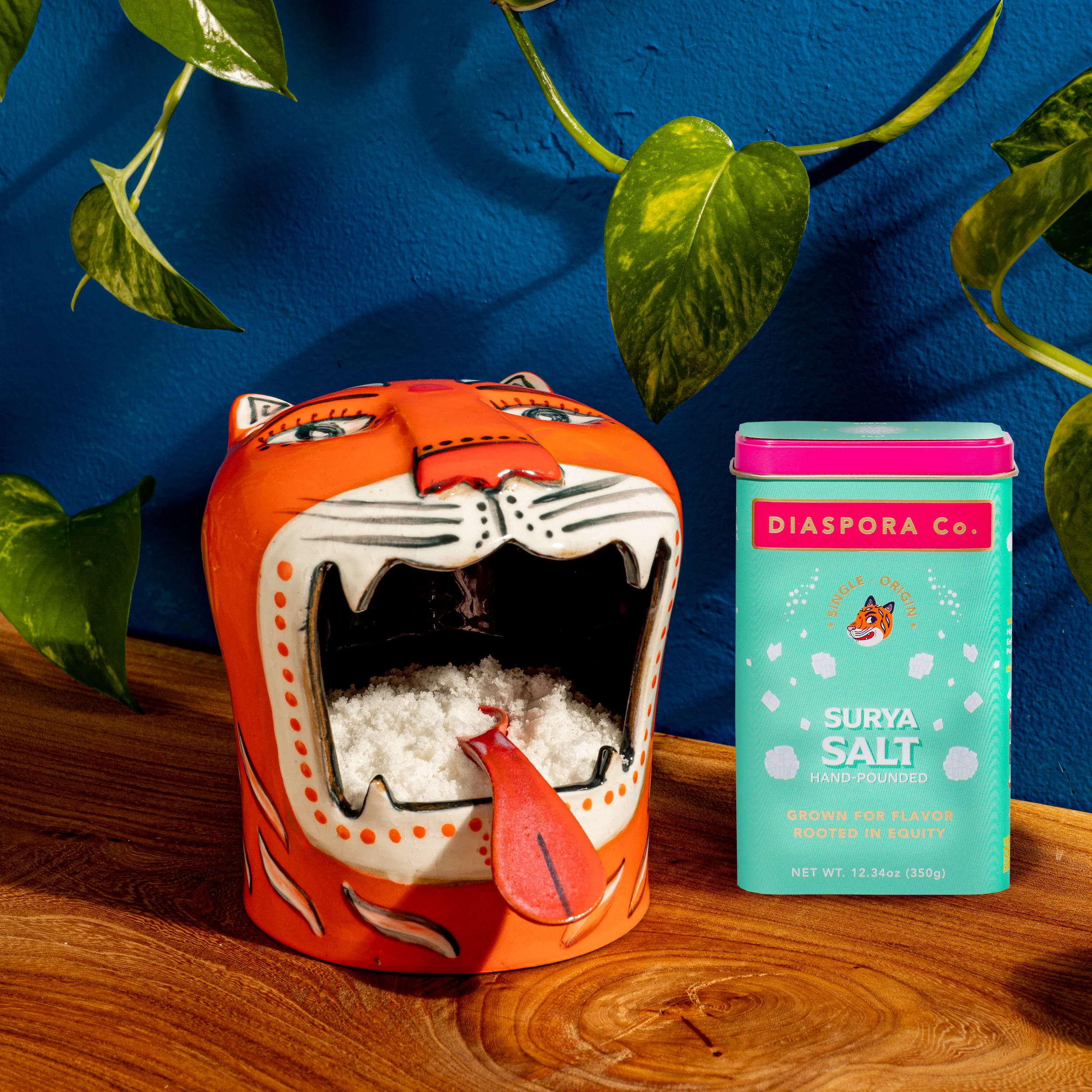 Salt Tiger - Image 6