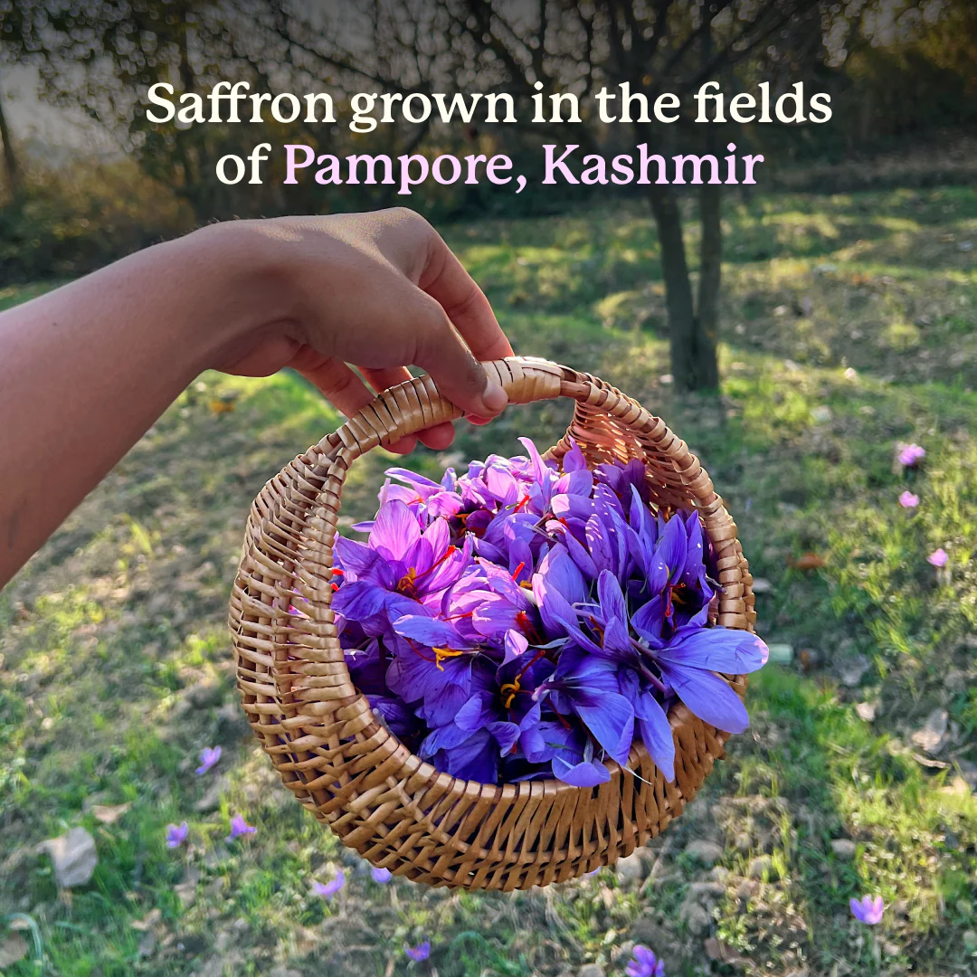 Song Tea Kashmiri Kehwa - Image 3